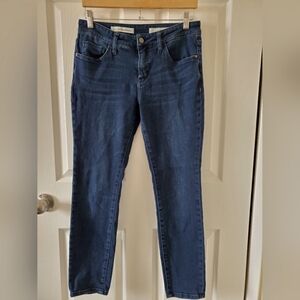 Anthropologie Pilcro And The Letterpress  Blue Denim Stretch Jeans Women's 29